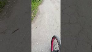 встреча и гулянка с Никитой