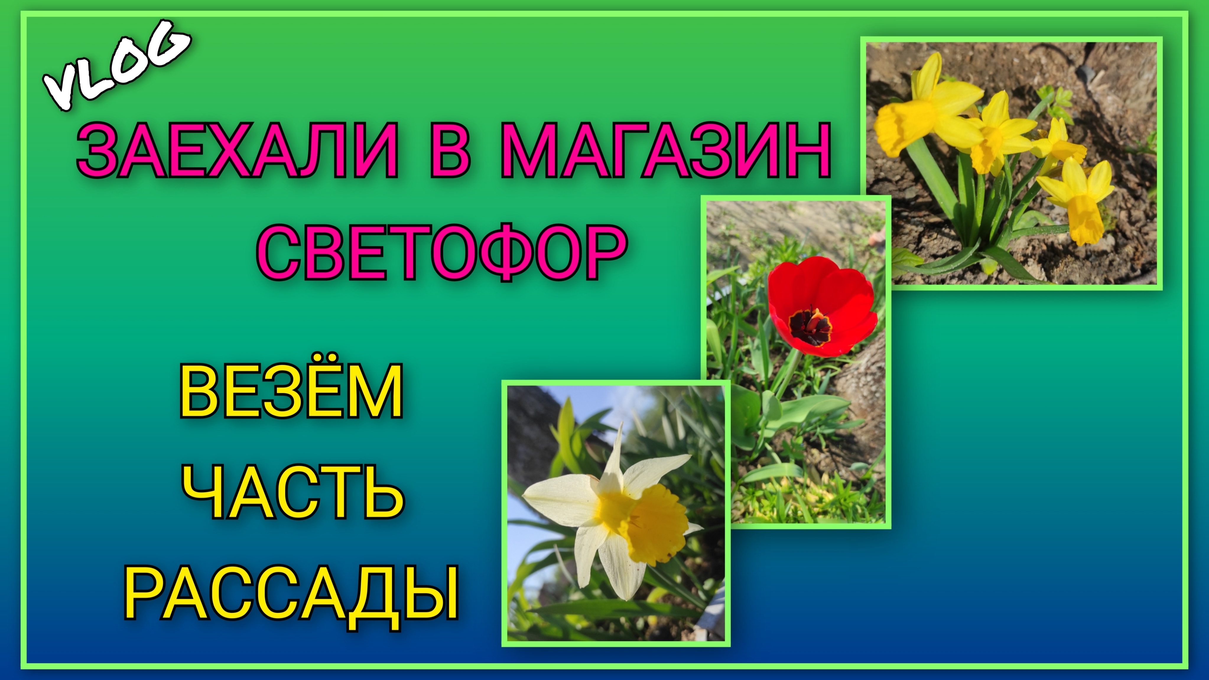 🍒Везём на дачу часть рассады, начинаем посадки в парнике/ Заехали в магазин "Светофор",наши покупки