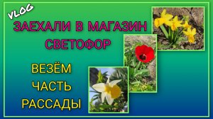 🍒Везём на дачу часть рассады, начинаем посадки в парнике/ Заехали в магазин «Светофор»,наши покупки