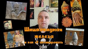 42 Шишковидная железа и как её активировать