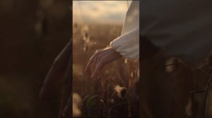 КОРНИ НАШИХ ПРЕДКОВ. ИВАН КУПАЛА
