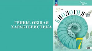Урок 30. Грибы. Общая характеристика