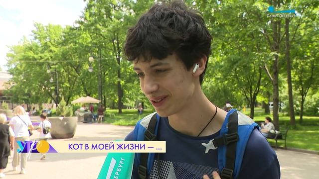 Какую роль в жизни петербуржцев играют коты и кошки? Опрос на улицах Северной столицы