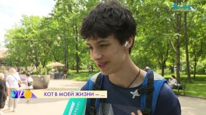 Какую роль в жизни петербуржцев играют коты и кошки? Опрос на улицах Северной столицы