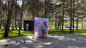 Гендер пати Грин парк