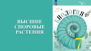 Урок 6. Высшие споровые растения