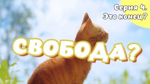 Stray. Серия 4. Это конец?
