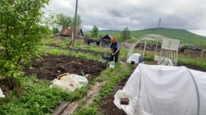 Жизнь в развалюхе Высаживаю перец