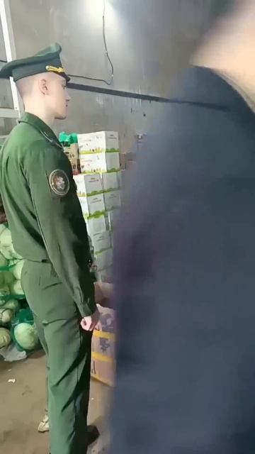 Рейд смотреть онлайн