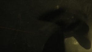 Thirteen Lives (movie, 2022)