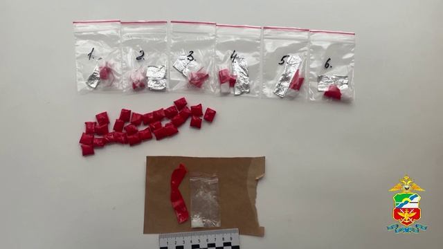 В Кузбассе транспортные полицейские задержали подозреваемую в покушении на сбыт наркотика