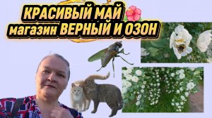 НЕ ПЛАНИРОВАЛА, НО КУПИЛА / Гуляла, зашла в Верный, забрала Озон — полная распаковка 😱