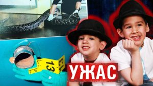 Пролезла через вентиляцию: змея убила спящих мальчиков. Чудовищный случай