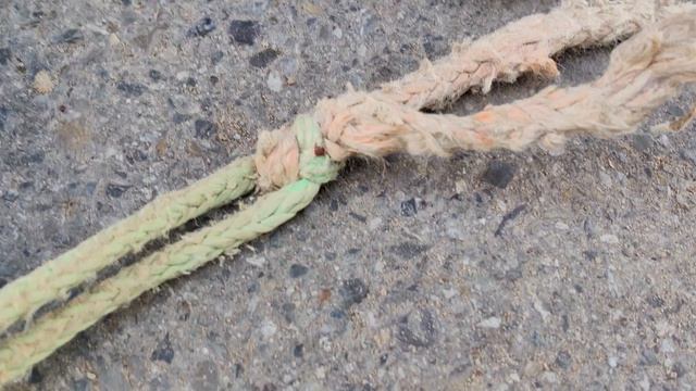 VID_20260608_115745