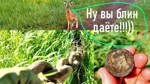 Коп 2026. Удачное место по железу! Фальшивый рубль царского периода на копе.