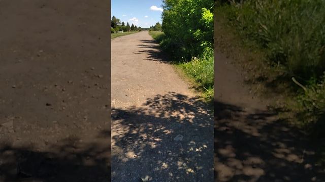 гуляю смотреть онлайн