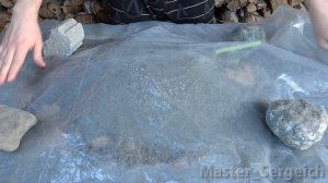 ✨I Covered Leaf With Cement, Here’s What Happened! Fantastic Result