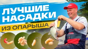 Лещ и плотва НЕ УСТОЯТ: ТОП-4 насадки ИЗ ОПАРЫША от Александра Дунаева