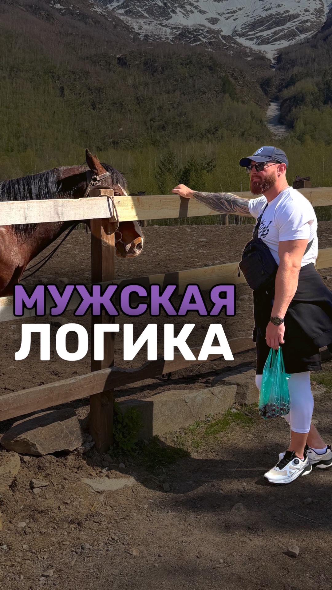 МУЖСКАЯ ЛОГИКА
