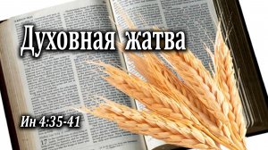 22.09.2024 «Духовная жатва» Ин 4:35-41 Кудрявцев Юрий