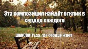 ШАНСОН|Туда, где сердце ждёт|ПЕСНИ ДЛЯ ДУШИ