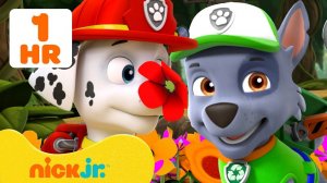 Щенячий патруль выращивает растения и цветы! #5  60 минут | Nick Jr. Cyrillic