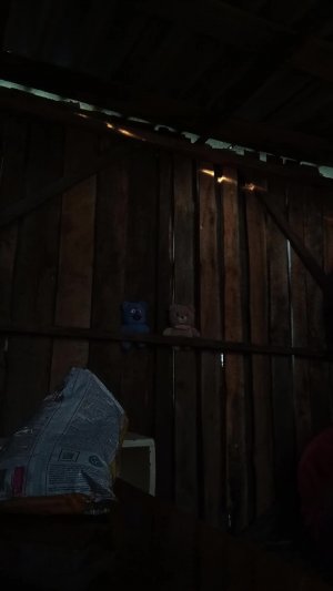 я и ваня
