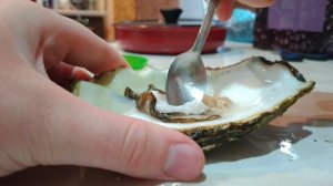 устрица 🦪 330 рублей