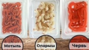 Как ловить рыбу зимой? 👇