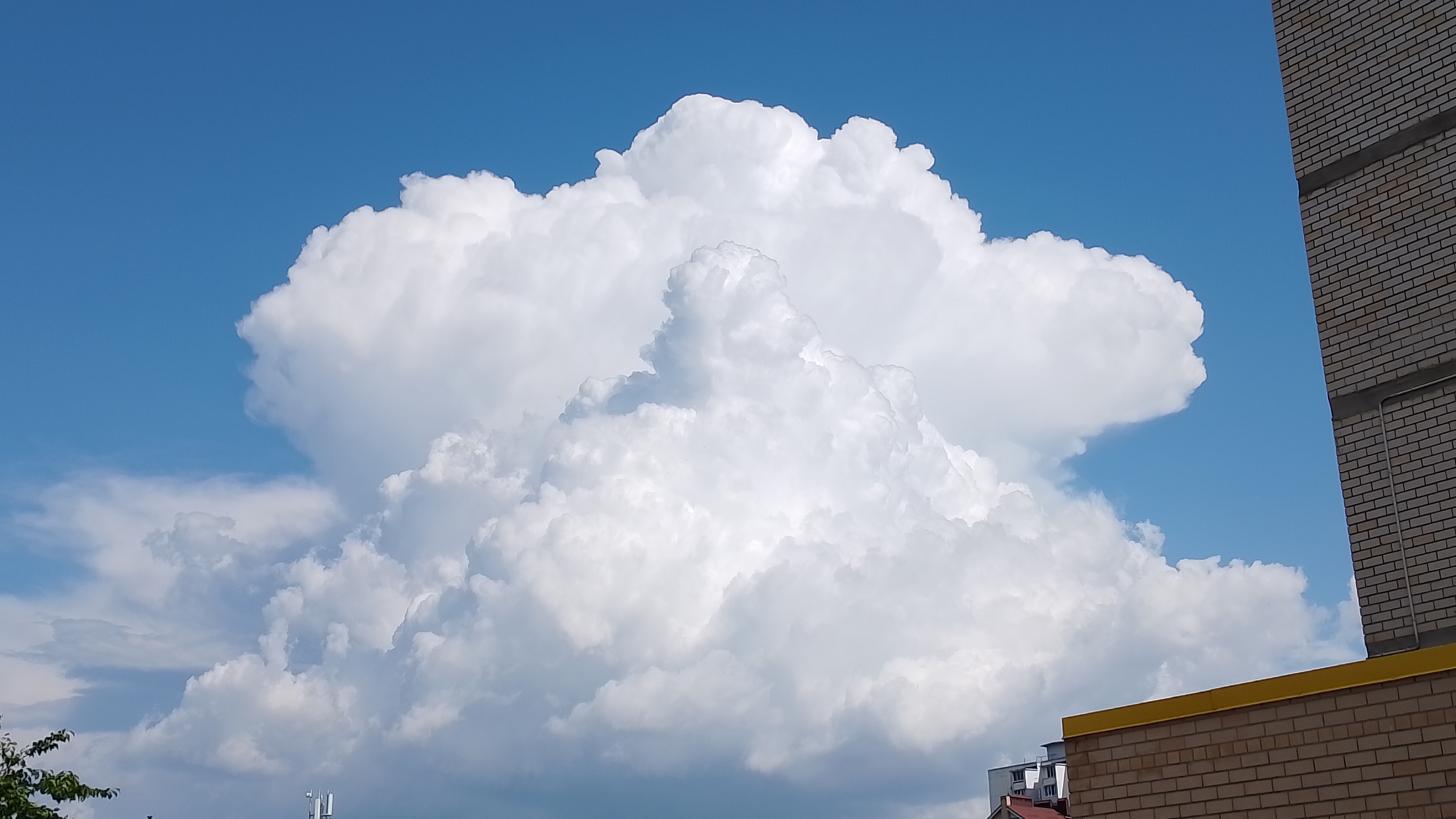 Очень сильная грозовая ячейка
8 июня!⛈️🌧️ смотреть онлайн