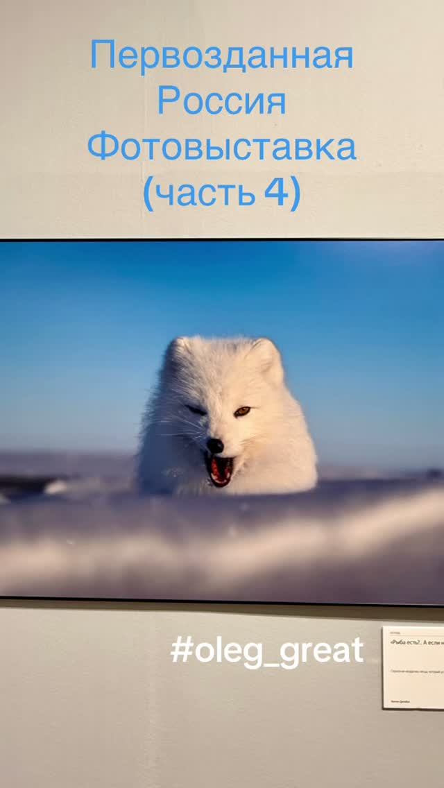 «Первозданная Россия»: фотопутешествие по диким просторам страны (часть 4)