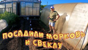 ПОСАДИЛИ МОРКОВЬ И СВЕКЛУ