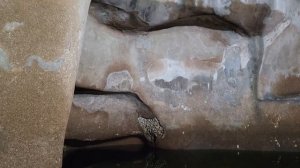 Вода в цистерне святой Елены