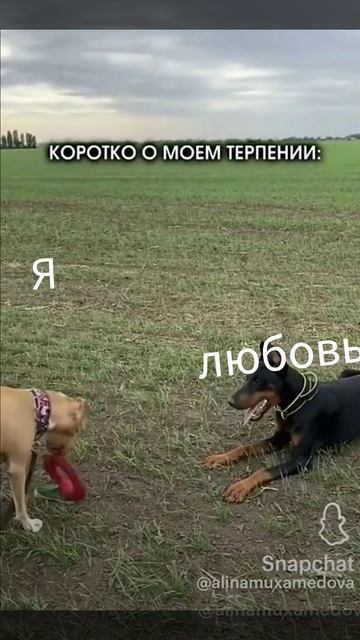 Моё терпение лопнуло
