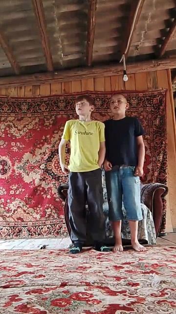 дивис нашево класа