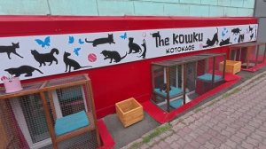 улица Сурикова, Красноярск май 2026г.