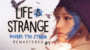 Life is Strange Before the Storm remastered #1
