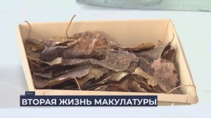 Дальний Восток на связи / Вторая жизнь макулатуры