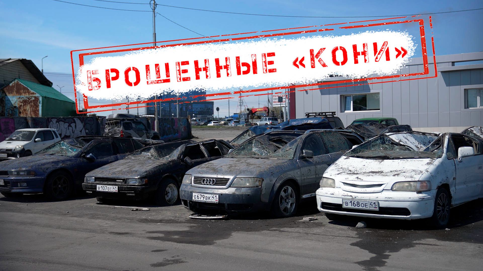 НОВОСТИ КАМЧАТКИ: БРОШЕННЫЕ «КОНИ»