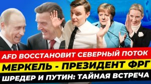 ГЕРМАНИЯ НА РАСПУТЬЕ ГАЗ, ВЫБОРЫ И ПОЛИТИЧЕСКИЕ ИНТРИГИ ЕВРОПЫ