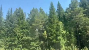 На дачу на электричке .Тайга .Красноярск Водораздел