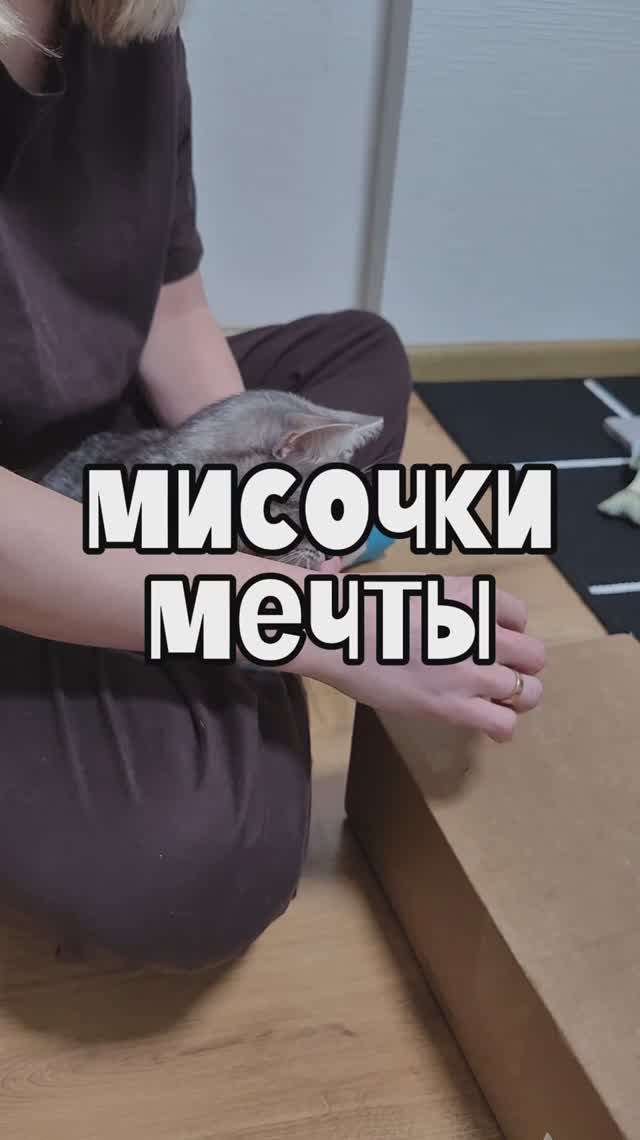 Мисочки мечты