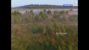 Заставка срыва эфира (Россия/Россия-1, 01.09.2003-27.07.2016)
