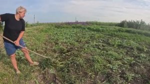 Наталья Губарева. НУ НАКОНЕЦ ТО ЗАКОНЧИЛА С КАБАЧКАМИ...