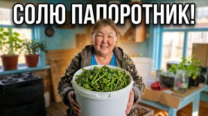 Жизнь в глубинке. Солю папоротник. Отвечаю на комментарии. 24.05.26.