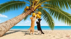 Милая история# мама-кошка с котятами вместе служат жирафу