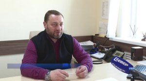 ОЗЕЛЕНЕНИЕ ГОРОДА