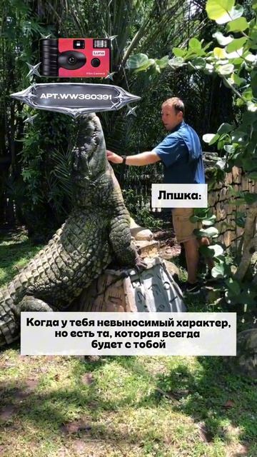 Плёночный фотоаппарат на 36 кадров (Артикул WB: #WW360391)💕