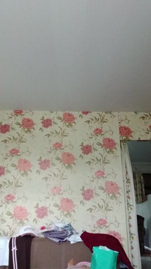 варя