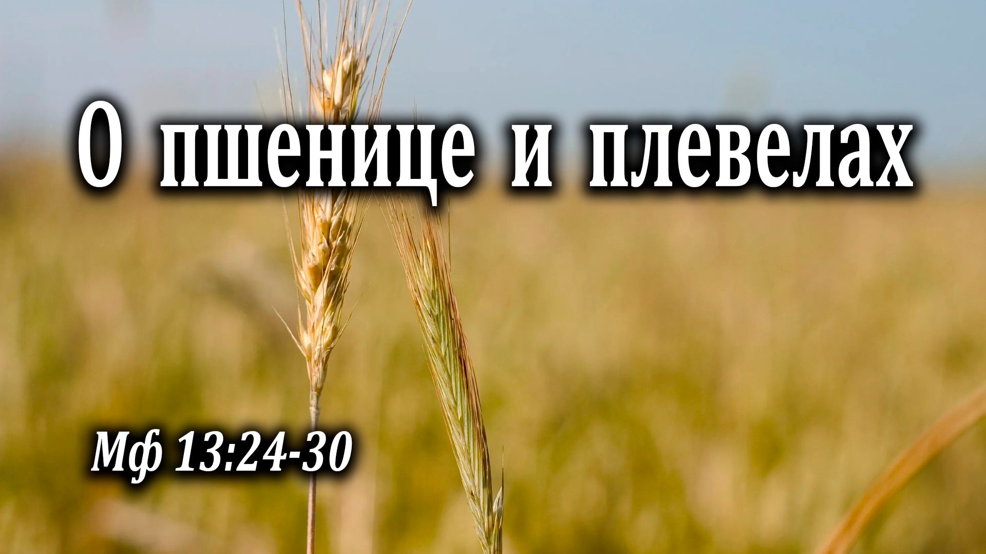 08.09.2024 